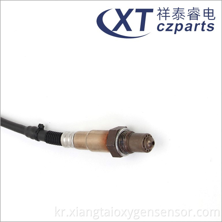 Oxygen Sensor